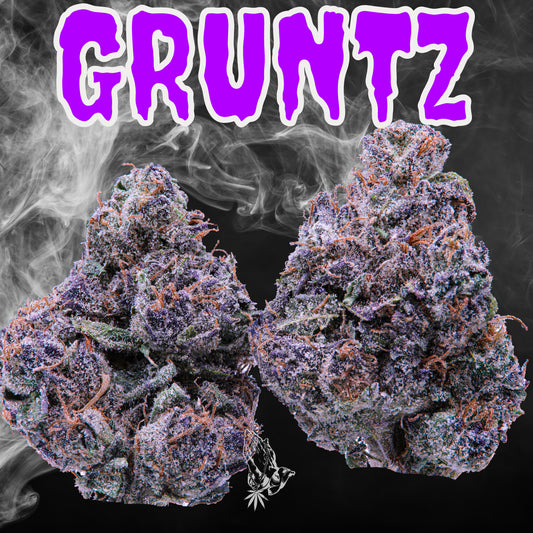 GRUNTZ (Hybrid)