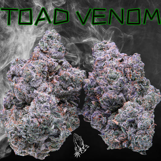 Toad Venom  (Indica)
