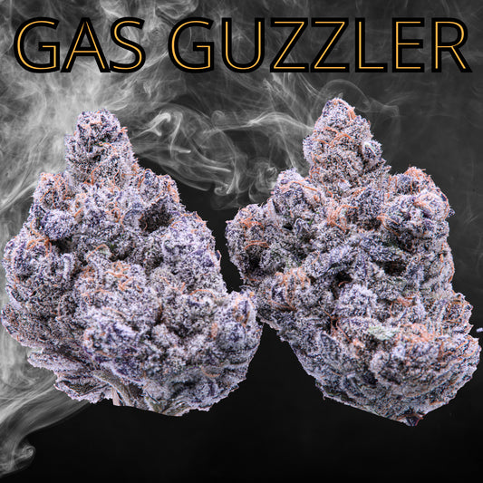 Gas Guzzler (Indica Hybrid)