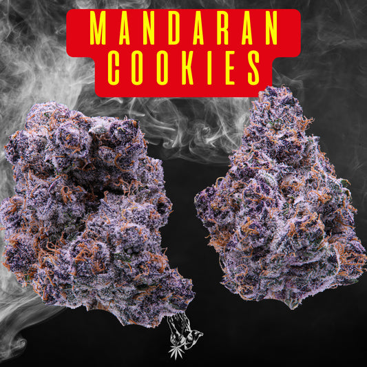 Mandaran Cookies (Hybrid)