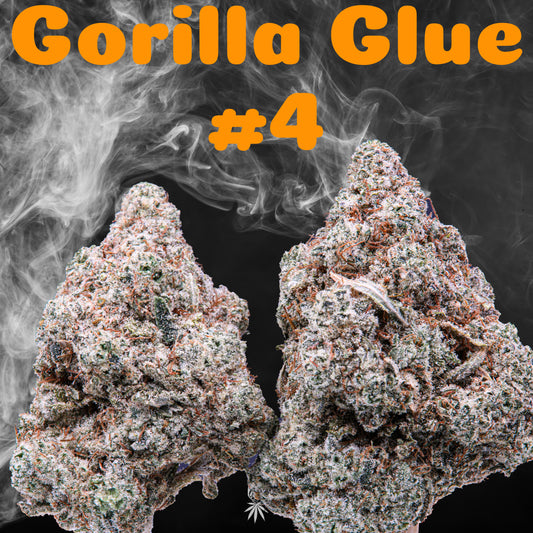 Gorilla Glue #4 (Indica)