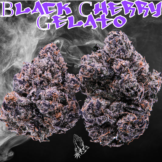 Black Cherry Gelato (Hybrid)