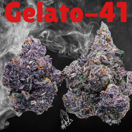 Gelato #41 (Hybrid)