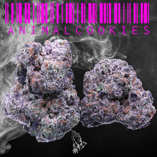 Animal Cookies (Hybrid)