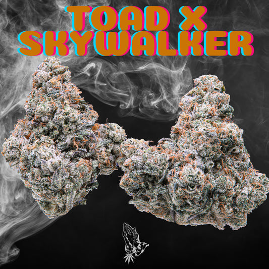 Toad X Skywalker (Indica)