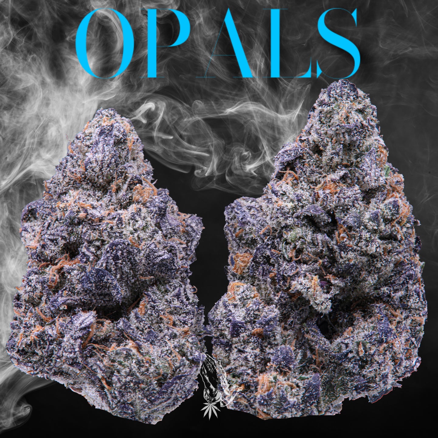 Opals (Hybrid)