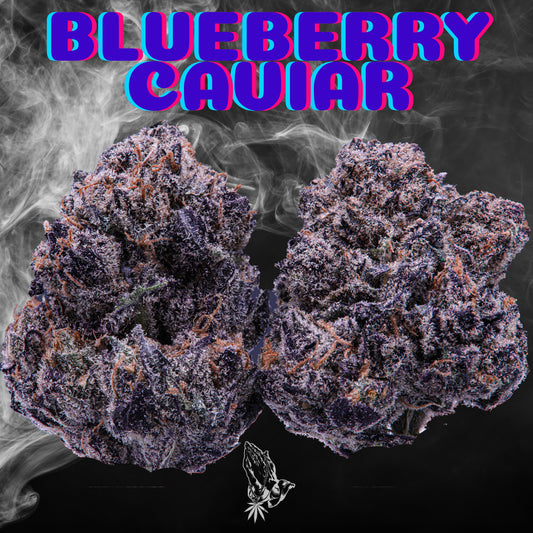 Blueberry Caviar (Hybrid)