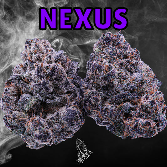 Nexus (Indica Hybrid)