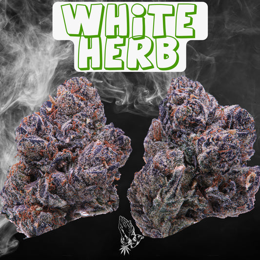 White Herb (Indica)