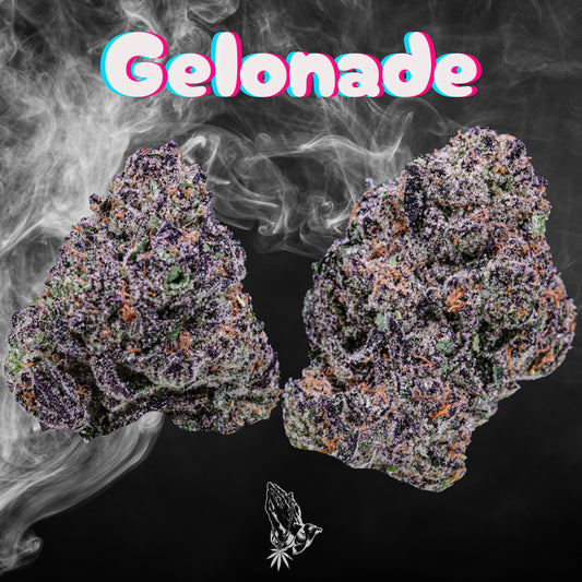 Gelonade ( Sativa Hybrid )