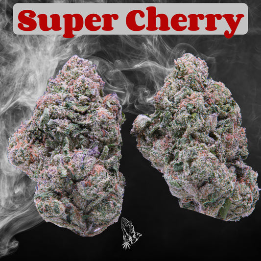 Super Cherry (Hybrid)