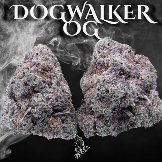 Dogwalker OG (Indica)