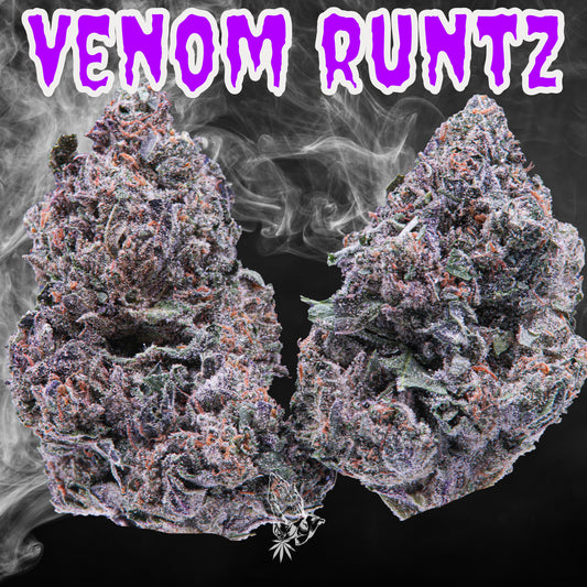 Venom Runtz (Indica)
