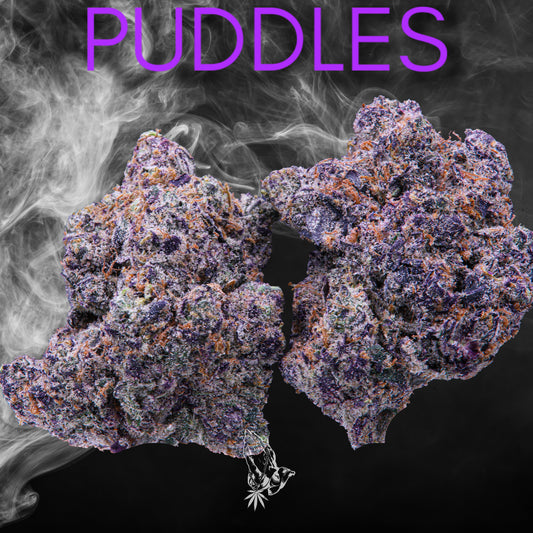 Puddles (Indica Hybrid)