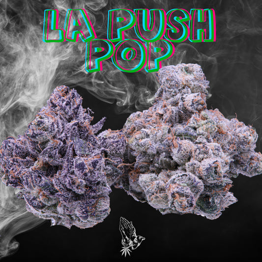 La Push Pop (Hybrid)