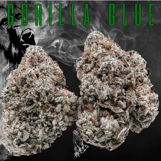 Gorilla Glue (Indica)