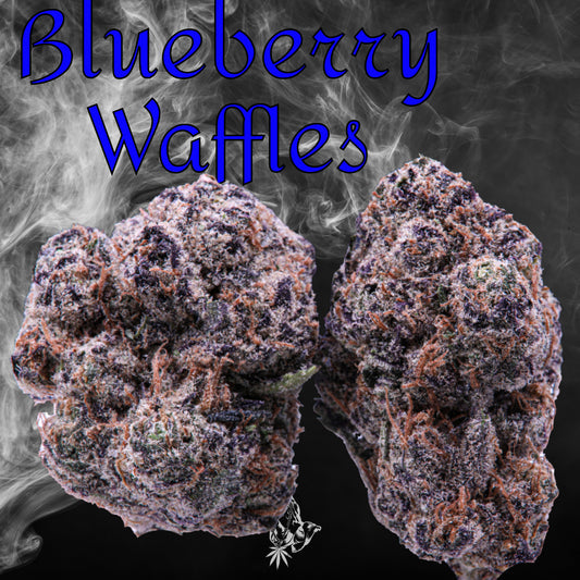 Blueberry Waffles (Indica Hybrid)