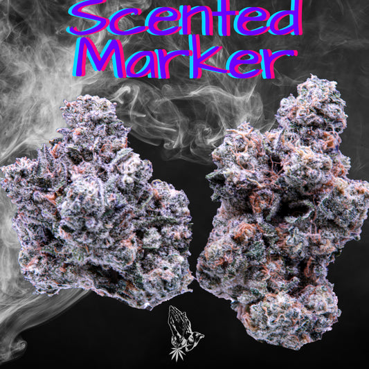 Scented Marker (Hybrid)