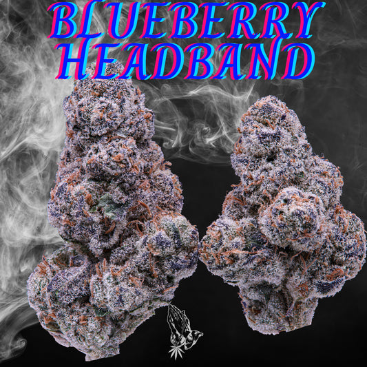 Blueberry Headband (Hybrid)
