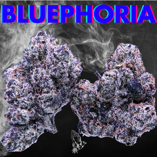 Bluephoria (Hybrid)