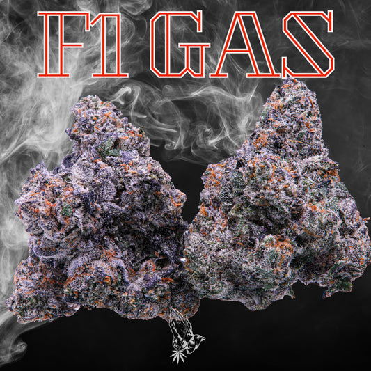 F1 Gas (Hybrid)