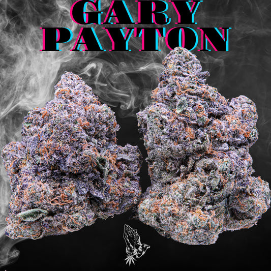 Gary Payton (Indica)