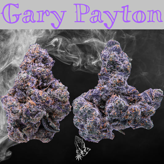Gary Payton (Hybrid)