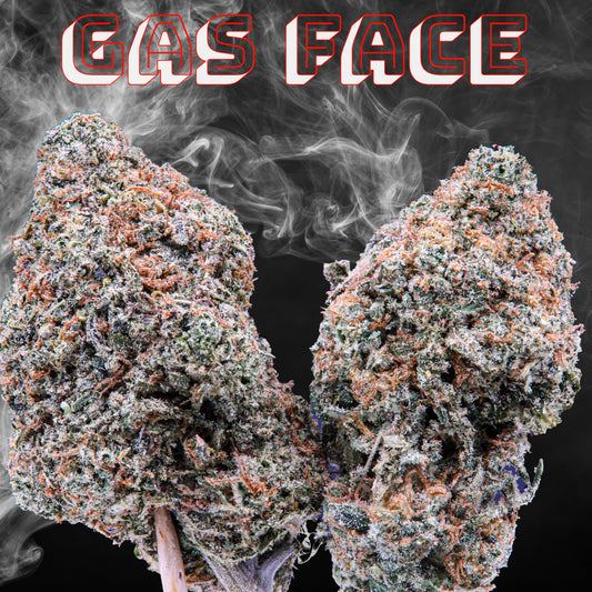 Gas Face (Hybrid)