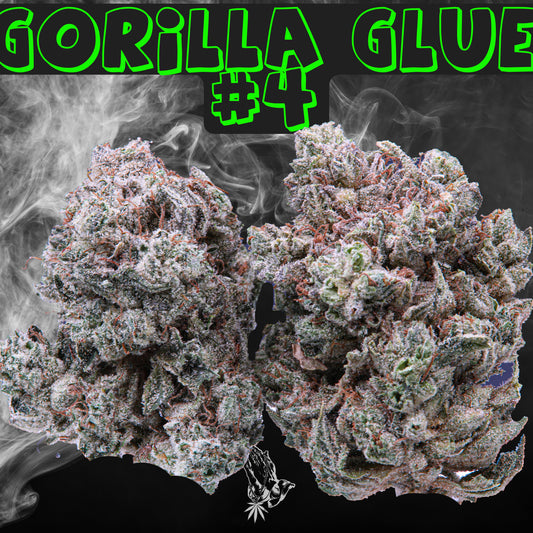 Gorilla Glue #4 (Indica)