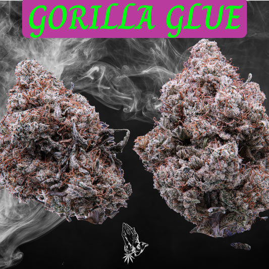 Gorilla Glue (Indica)