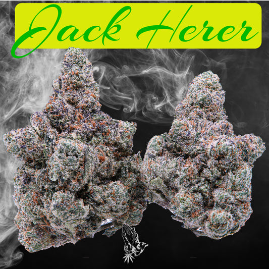 Jack Herer (Sativa Hybrid)