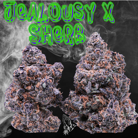 Jealousy X Sherb (Indica Hybrid)