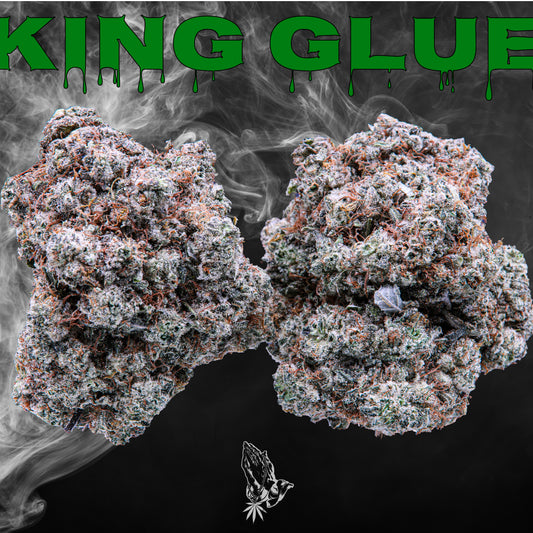 King Glue (Indica)