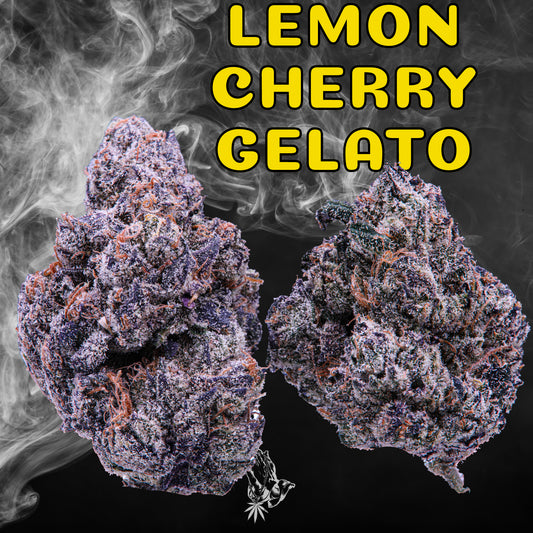 Lemon Cherry Gelato (Hybrid)
