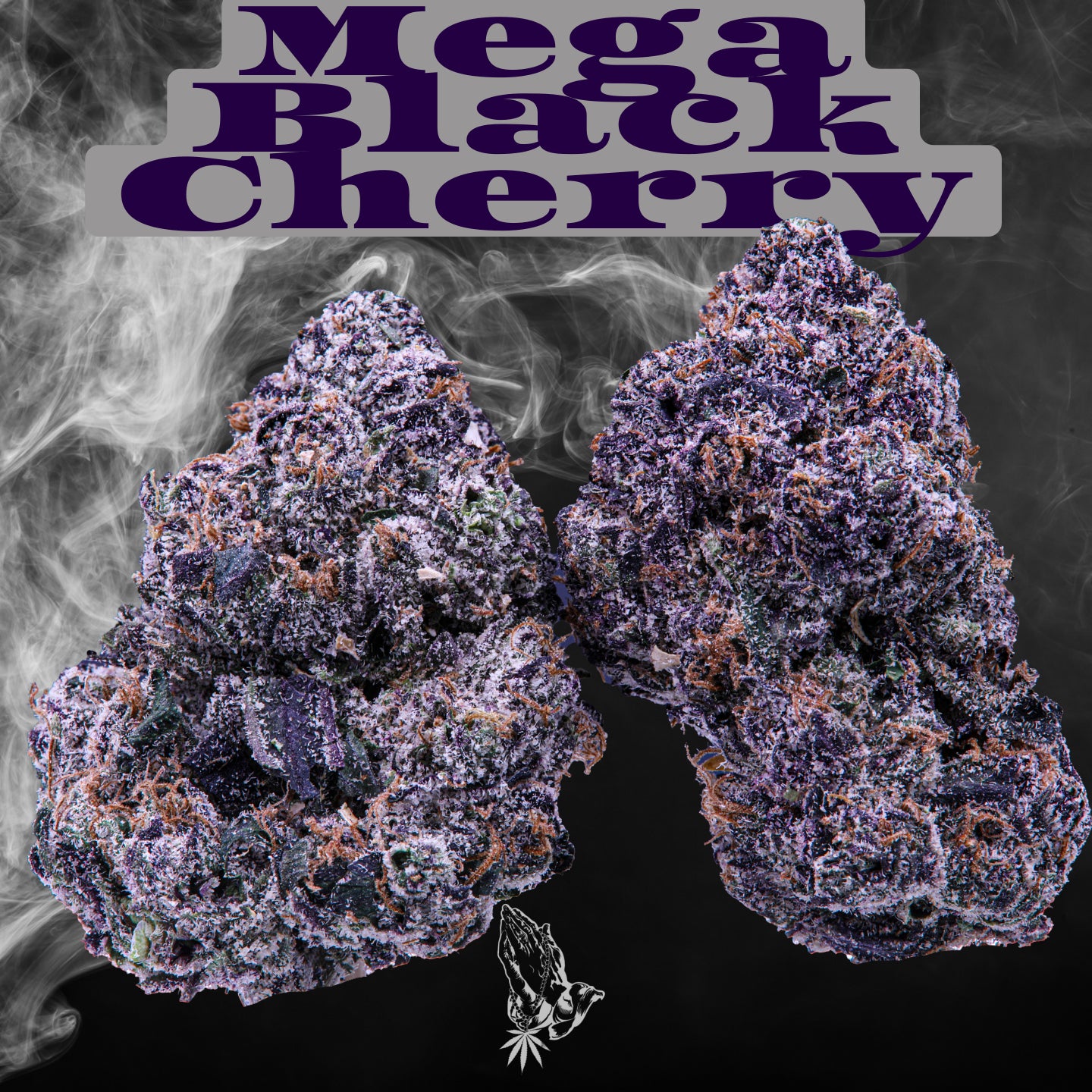 Mega Black Cherry (Hybrid)