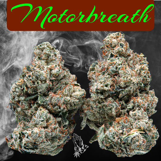 Motorbreath (Indica Hybrid)