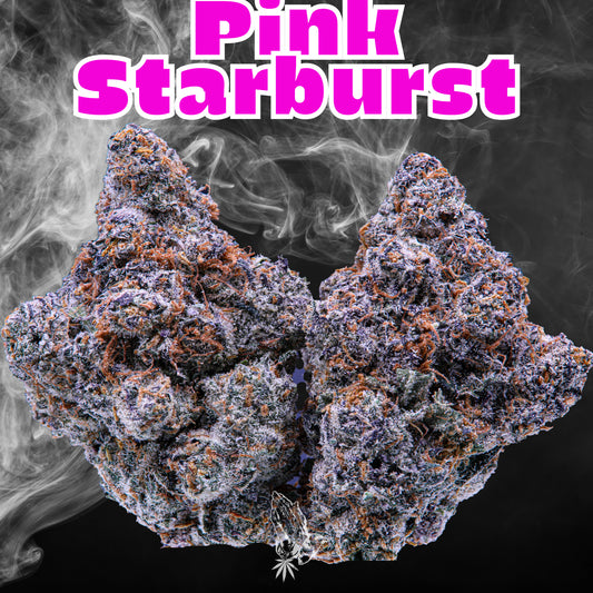Pink Starburst (Hybrid)