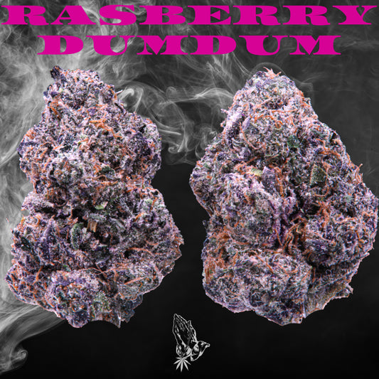 Rasberry Dum Dum (Hybrid)