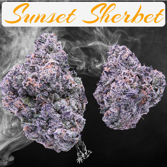 Sunset Sherbet (Indica Hybrid)