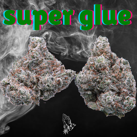 Super Glue (Indica)