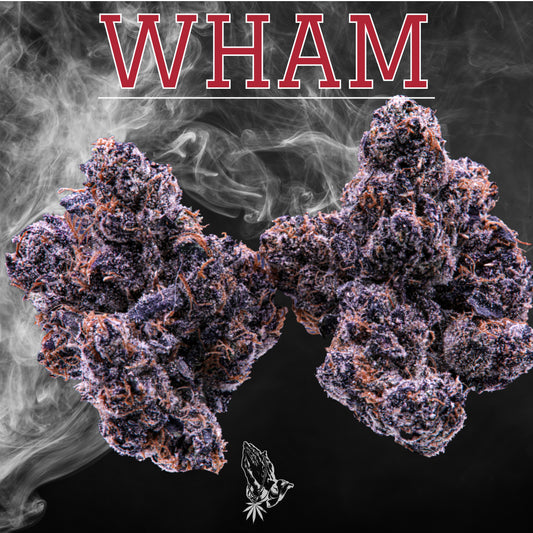 WHAM (Hybrid)