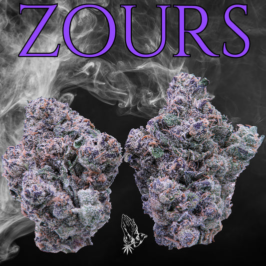 Zours (Hybrid)